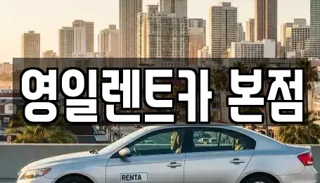 대구광역시 중구 교동 렌트카 전문 영일렌트카 본점