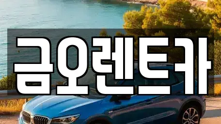 대구광역시 중구 교동 장기렌트카 전문 금오렌트카