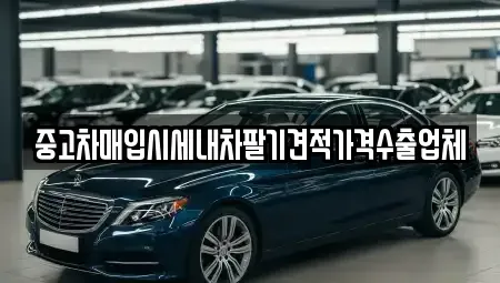 대구광역시 중구 교동 중고차매입 전문 중고차매입시세내차팔기견적가격수출업체