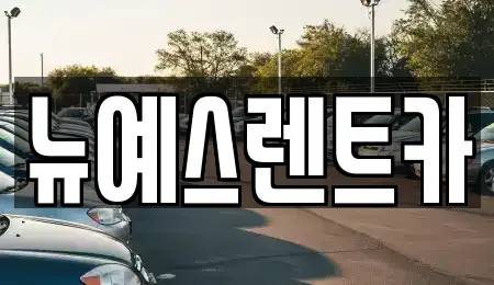 대구광역시 중구 용덕동 렌트카 전문 뉴예스렌트카