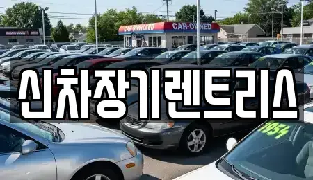 대구광역시 중구 용덕동 렌트카 전문 신차장기렌트리스