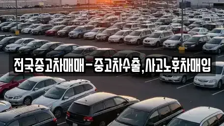 대구광역시 중구 용덕동 중고차 전문 전국중고차매매-중고차수출,사고노후차매입