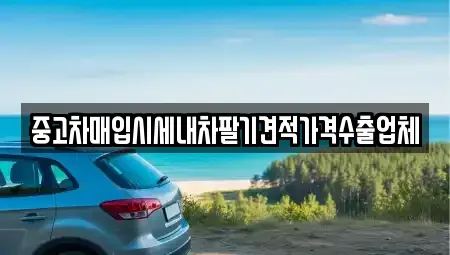 대구광역시 중구 용덕동 중고차매입 전문 중고차매입시세내차팔기견적가격수출업체