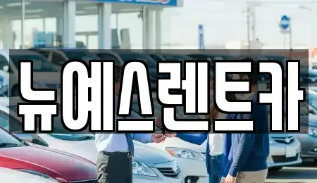 대구광역시 중구 장관동 렌트카 전문 뉴예스렌트카