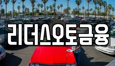 대구광역시 중구 장관동 장기렌트카 전문 리더스오토금융