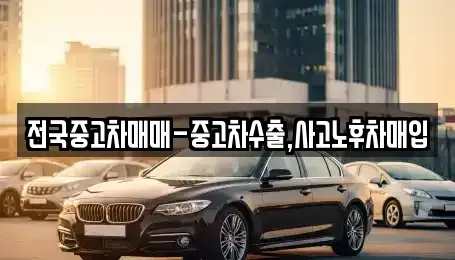 대구광역시 중구 장관동 중고차 전문 전국중고차매매-중고차수출,사고노후차매입