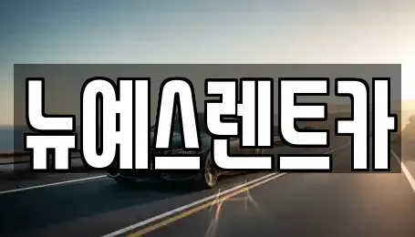 대구광역시 중구 포정동 렌트카,단기렌트카,장기렌트카,중고차,중고차매매,중고차매입
