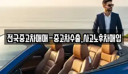 대구광역시 중구 포정동 중고차 전문 전국중고차매매-중고차수출,사고노후차매입