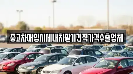 대구광역시 중구 포정동 중고차 전문 중고차매입시세내차팔기견적가격수출업체