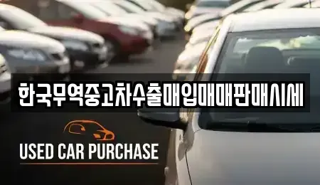 대구광역시 중구 포정동 중고차 전문 한국무역중고차수출매입매매판매시세