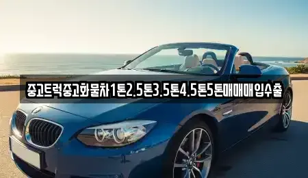 대전 대덕구 대화동 중고차매입 전문 중고트럭중고화물차1톤2.5톤3.5톤4.5톤5톤매매매입수출