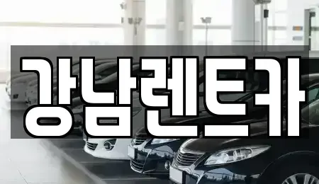 대전 동구 가오동 렌트카 전문 강남렌트카