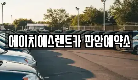 대전 동구 가오동 렌트카 전문 에이치에스렌트카 판암예약소