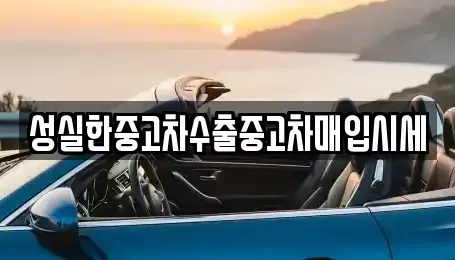 대전 동구 원동 중고차 전문 성실한중고차수출중고차매입시세