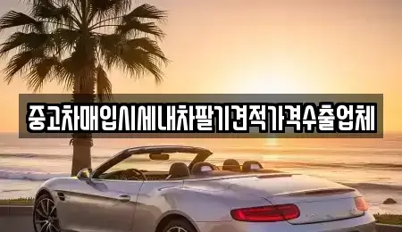 대전 동구 원동 중고차,렌트카,중고차매입,중고차매매,장기렌트카,단기렌트카