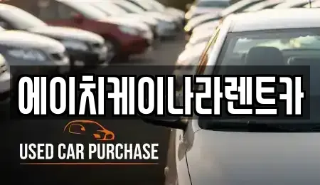 대전 유성구 갑동 렌트카 전문 에이치케이나라렌트카