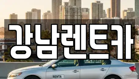 대전 유성구 금고동 렌트카 전문 강남렌트카