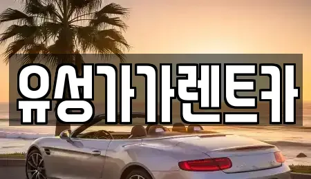 대전 유성구 전민동 렌트카 전문 유성가가렌트카