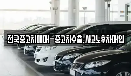 대전 유성구 전민동 중고차 전문 전국중고차매매-중고차수출,사고노후차매입