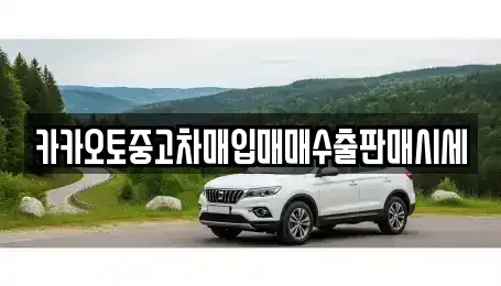 대전 유성구 전민동 중고차매입 전문 카카오토중고차매입매매수출판매시세