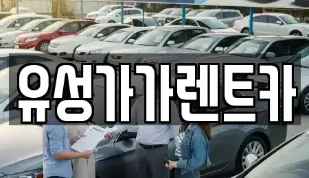 대전 유성구 지족동 렌트카 전문 유성가가렌트카