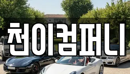 대전 유성구 지족동 중고차 전문 천이컴퍼니
