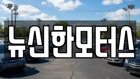 대전 유성구 지족동 중고차매매 전문 뉴신한모터스