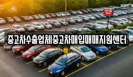 대전 유성구 지족동 중고차매입 전문 중고차수출업체중고차매입매매지원센터