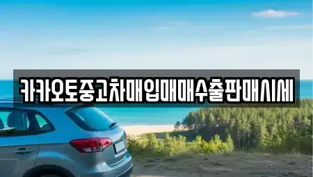 대전 중구 대사동 중고차매입 전문 카카오토중고차매입매매수출판매시세