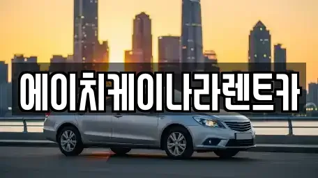 대전광역시 대덕구 비래동 렌트카 전문 에이치케이나라렌트카