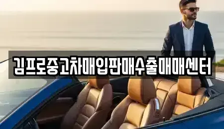 대전광역시 대덕구 비래동 단기렌트카,중고차매입,중고차매매,중고차,렌트카,장기렌트카