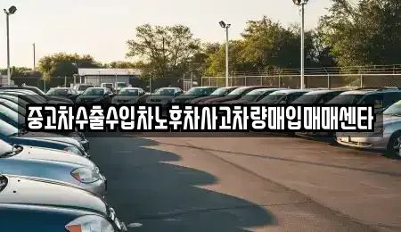 대전광역시 대덕구 비래동 중고차매입 전문 중고차수출수입차노후차사고차량매입매매센타