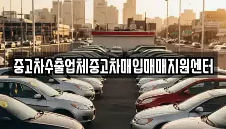 대전광역시 대덕구 비래동 중고차매입 전문 중고차수출업체중고차매입매매지원센터