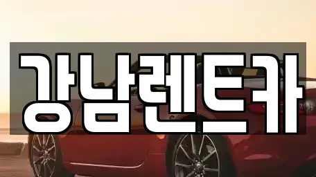대전광역시 대덕구 송촌동 렌트카 전문 강남렌트카