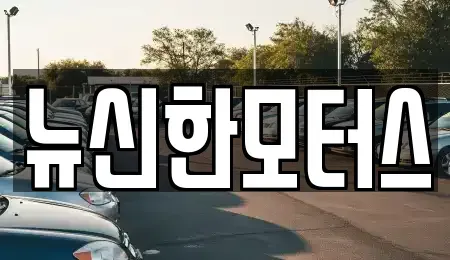 대전광역시 대덕구 송촌동 중고차매매 전문 뉴신한모터스
