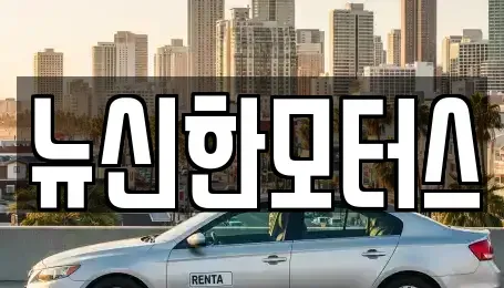 대전광역시 동구 비룡동 중고차 전문 뉴신한모터스