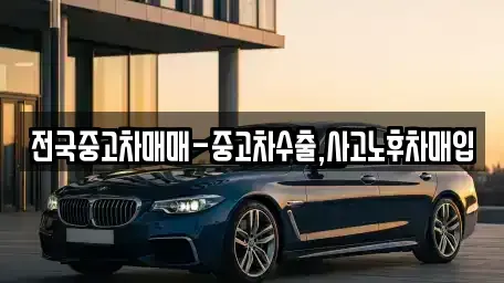 대전광역시 동구 비룡동 중고차 전문 전국중고차매매-중고차수출,사고노후차매입