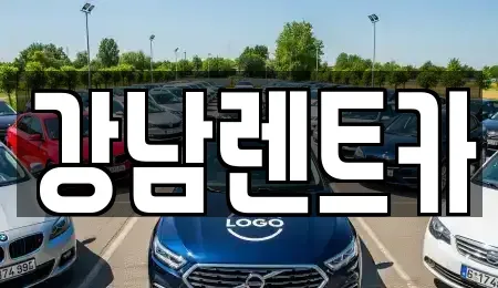 대전광역시 동구 용계동 렌트카 전문 강남렌트카