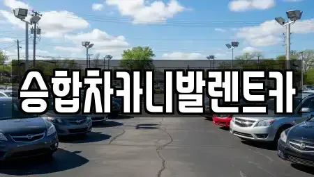 대전광역시 동구 원동 렌트카 전문 승합차카니발렌트카
