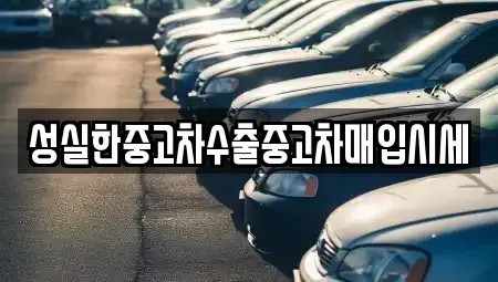 대전광역시 동구 원동 중고차매입 전문 성실한중고차수출중고차매입시세
