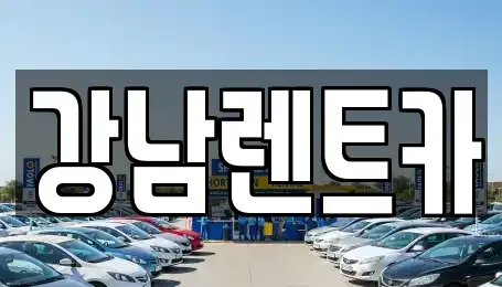 대전광역시 동구 효동 렌트카 전문 강남렌트카