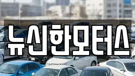 대전광역시 동구 효동 중고차 전문 뉴신한모터스