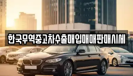 대전광역시 동구 효동 중고차매매 전문 한국무역중고차수출매입매매판매시세