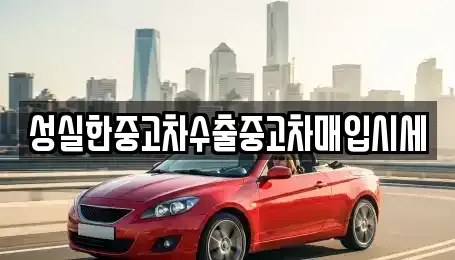 대전광역시 동구 효동 중고차매입 전문 성실한중고차수출중고차매입시세