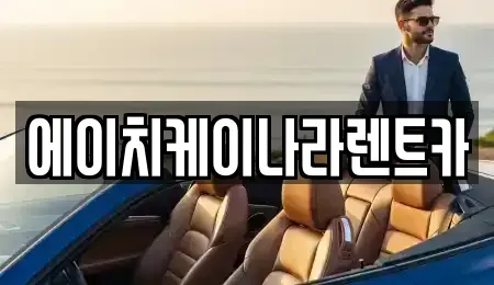 대전광역시 유성구 가정동 렌트카 전문 에이치케이나라렌트카