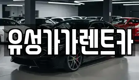 대전광역시 유성구 가정동 렌트카 전문 유성가가렌트카
