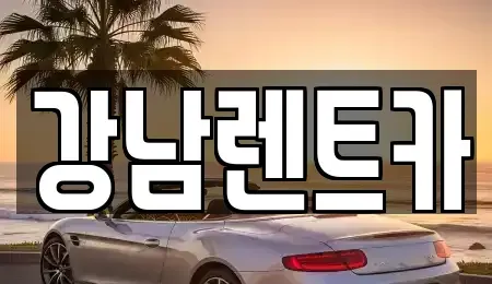 대전광역시 유성구 반석동 렌트카 전문 강남렌트카