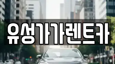 대전광역시 유성구 반석동 렌트카 전문 유성가가렌트카