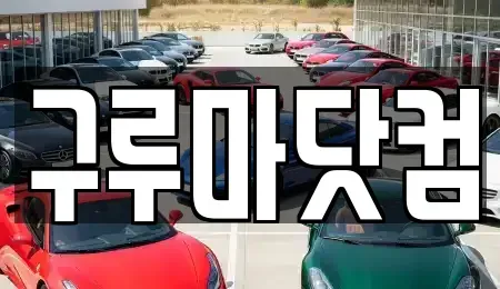 대전광역시 유성구 반석동 장기렌트카 전문 구루마닷컴