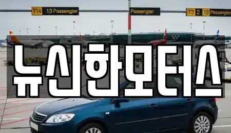 대전광역시 유성구 반석동 중고차 전문 뉴신한모터스